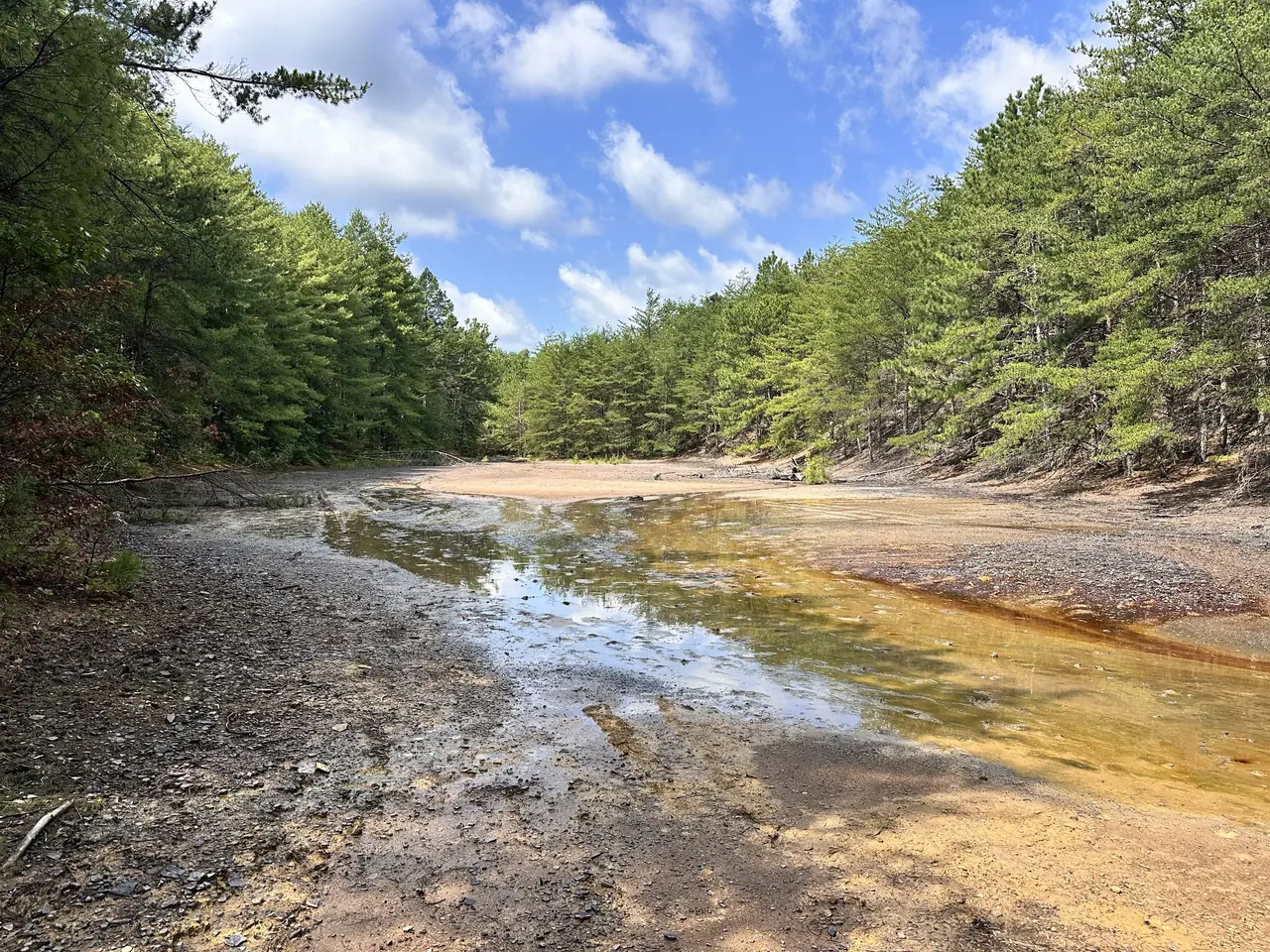 Creek winding through the pines on the property