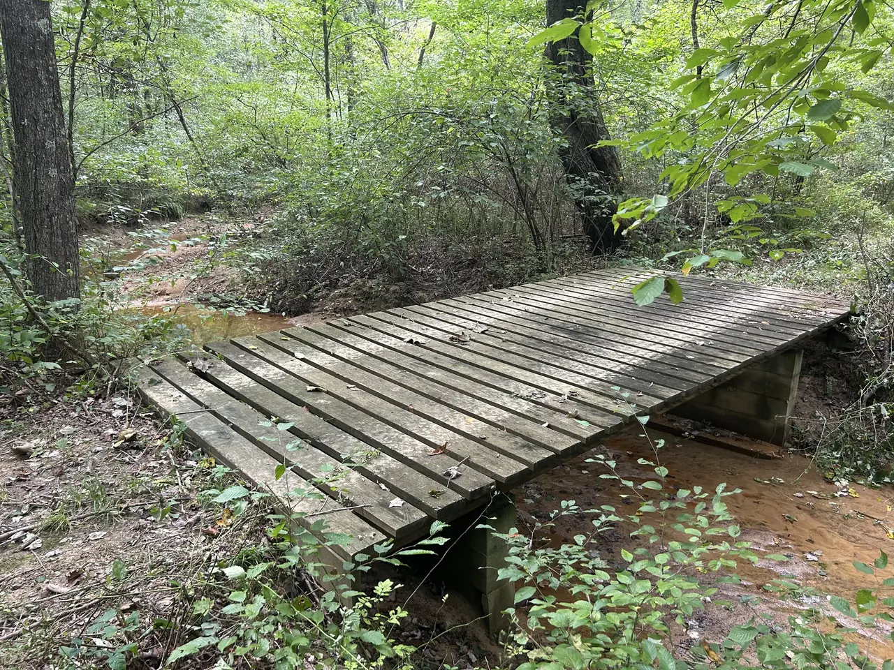 Footbridge over a creek on the property