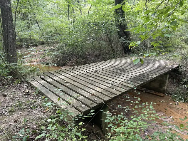 Footbridge over a creek on the property
