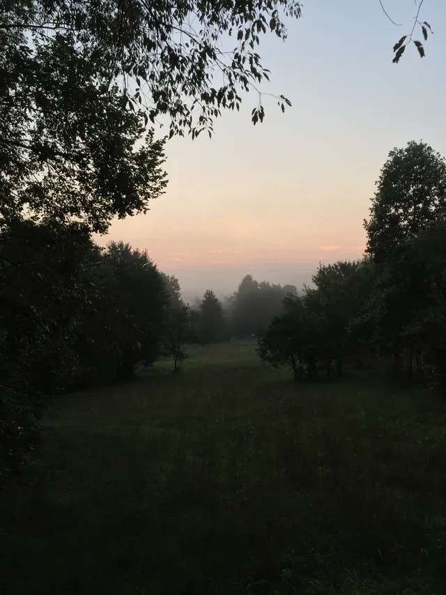 Sunset over the meadow with fog settling over the hills