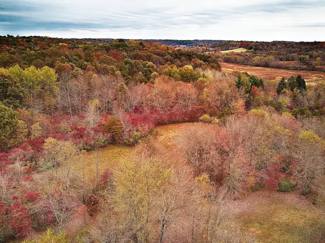 Meadows and forest stretching toward the Hocking Hills horizon