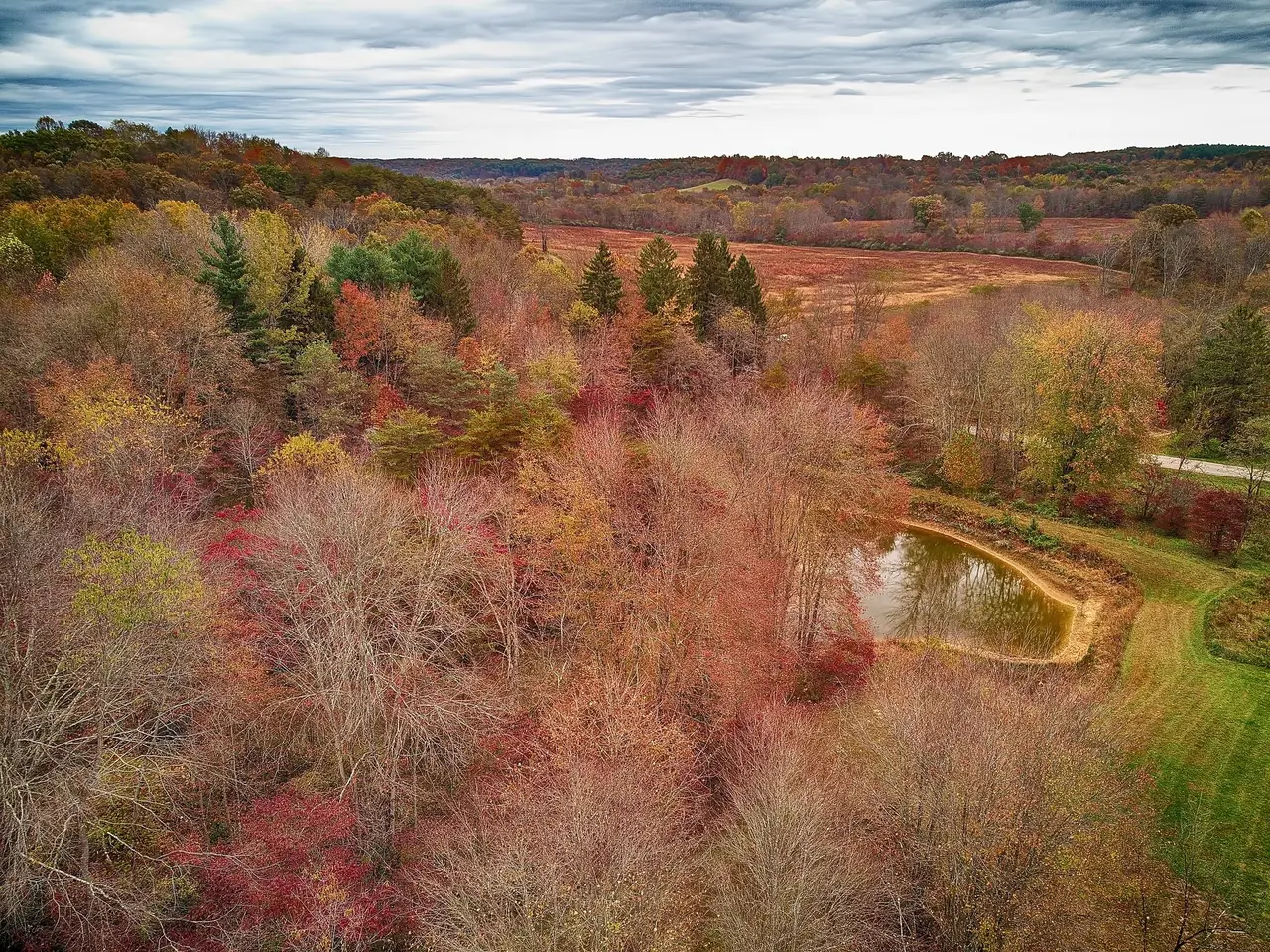 Aerial view of the private pond and meadow in autumn