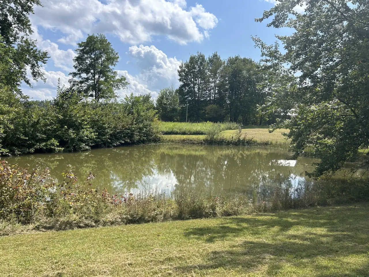 Private pond on the property in summer
