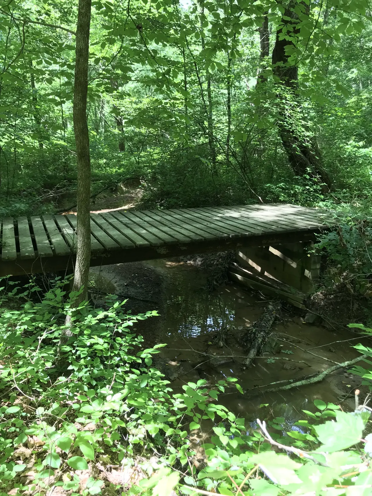 Small bridge over a shaded creek