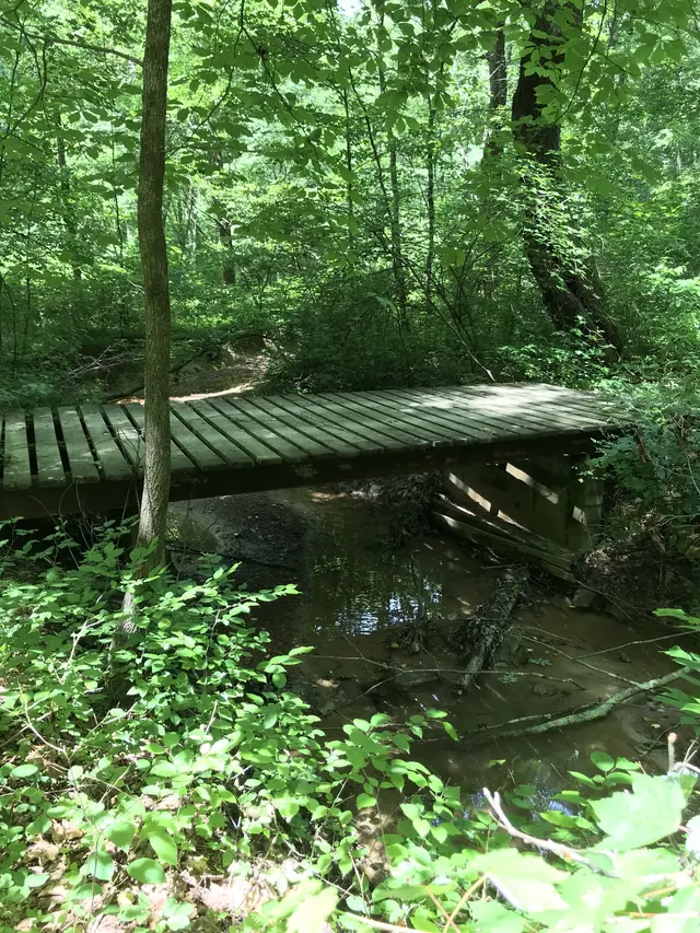 Small bridge over a shaded creek