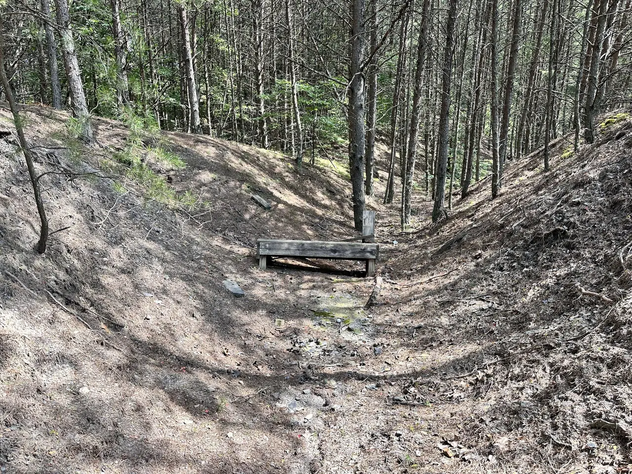 Wooded ravine with a small footbridge