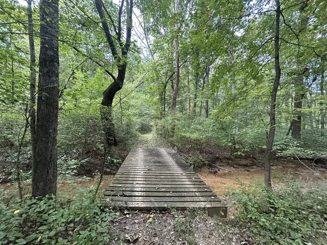 Wooden footbridge on a wooded trail
